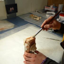 Sunlight' soap conservation (031)