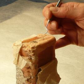 Sunlight' soap conservation (032)