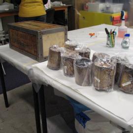 Venesta case packing project (002)