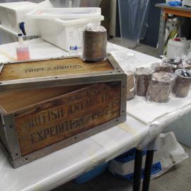 Venesta case packing project (005)