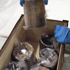 Venesta case packing project (009)