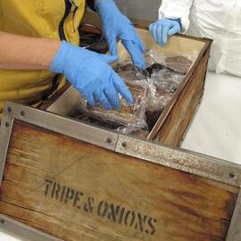 Venesta case packing project (016)