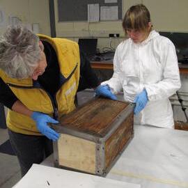 Venesta case packing project (017)