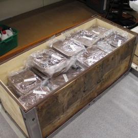 Venesta case packing project (022)