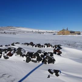 2017-18 Cherry-Garrard's stone hut and Scott's 'Terra Nova hut
