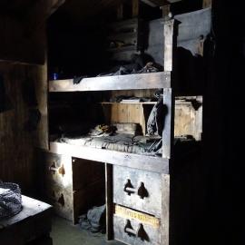 2017-18 Scott's 'Terra Nova' hut, interior, bunks of Nelson and Day