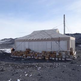 2017-18 Shackleton's 'Nimrod' hut, exterior, South elevation
