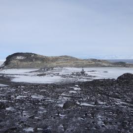 2017-18 Cape Royds Adélie penguin rookery
