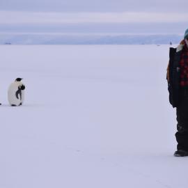 2017-18 AHT's Al Fastier and Emperor penguins