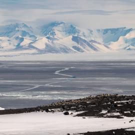 2017-18 Cape Royds Adélie penguin rookery and Royal Society Range