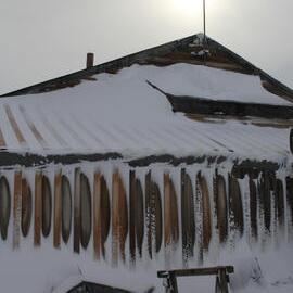 2018-19 West wall of Scott's 'Terra Nova' hut, Cape Evans