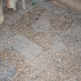 2018-19 Dust levels in the Stables in Scott's 'Terra Nova' hut, Cape Evans