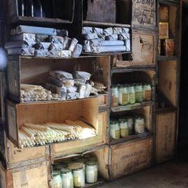 2018-19 Candles inside Shackleton's 'Nimrod' hut, Cape Royds