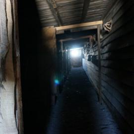 2018-19 Stables inside Scott's 'Terra Nova' hut, Cape Evans