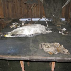 Chart table in Scott's 'Terra Nova' hut