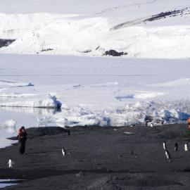 K170 at Cape Evans (003)