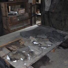 Bunks in stove area, Scott's 'Discovery' hut 