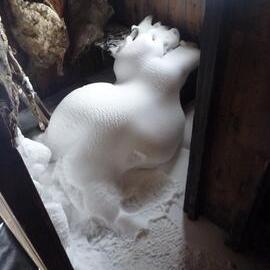 Snow ingress, store of Scott's 'Discovery' hut