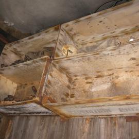 Shelving in Mawson's Lab, Shackleton's 'Nimrod' hut