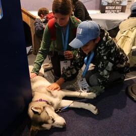 Young Inspiring Explorers meet Huskies at the International Antarctic Centre (001)