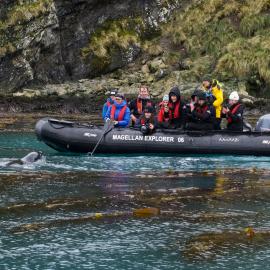 Inspiring Explorers and passengers meet a Leopard seal (001)