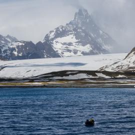 Inspiring Explorers and passengers in a Zodiac, Fortuna Bay