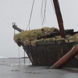 Shipwreck in Ocean Harbour, South Georgia