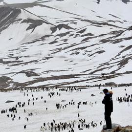 Inspiring Explorer Sasha Cheng at St Andrews Bay, South Georgia