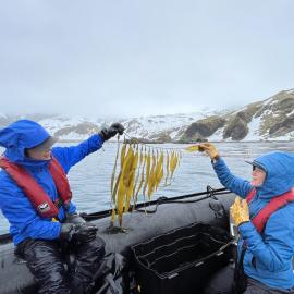 Inspiring Explorers Millie Mannering and Kelly Davenport with kelp