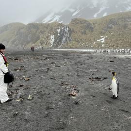 Inspiring Explorer Rose Lasham with a King penguin