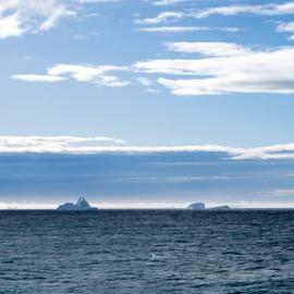 Icebergs near South Georgia