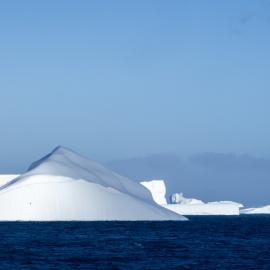 Large icebergs, South Georgia (001)