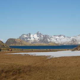 Inspiring Explorers and passengers walk to Shackleton Falls (001)