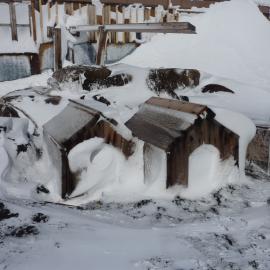 2010-11 Snow build-up outside Shackleton's 'Nimrod' hut, Cape Royds (002)