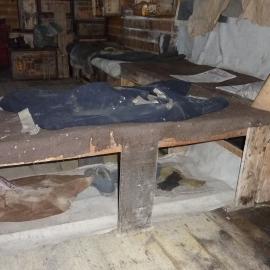 2010-11 Bunk inside Shackleton's 'Nimrod' hut