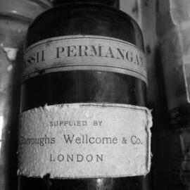 Medicinal Artefacts, Shackleton's 'Nimrod' hut (002)