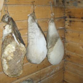 Legs of ham, Shackleton's 'Nimrod' hut
