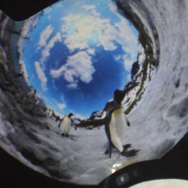 3D video from South Georgia projected onto the inflatable planetarium