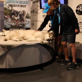 Young Inspiring Explorers Milan and Orlando meet a husky