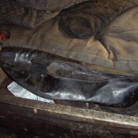 Dress shoe inside Scott's 'Terra Nova' hut