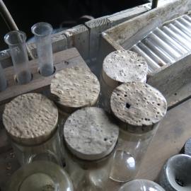 2014-15 Scott's 'Terra Nova' hut, interior, Biology area scientific equipment