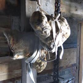 2014-15 Scott's 'Terra Nova' hut artefact monitoring, fixtures and fittings, boots on hook (002)