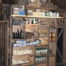 2007 Shackleton's 'Nimrod' hut inspection, interior, main space