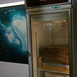 2010 Whisky crate installed in the thaw fridge inside Canterbury Museum