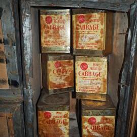 Bulkhead shelves, Shackleton's 'Nimrod' hut (002)