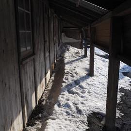 North wall, Scott's 'Discovery' hut