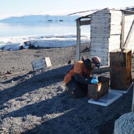 2013-14 Josiah Wagener treating cases outside Scott's 'Terra Nova' hut, Cape Evans (001)